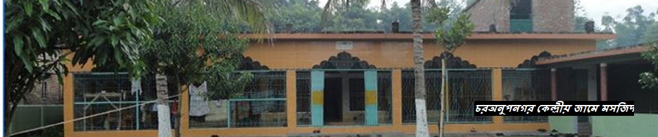 চরঅনুপনগর কেন্দ্রীয় জামে মসজিদ